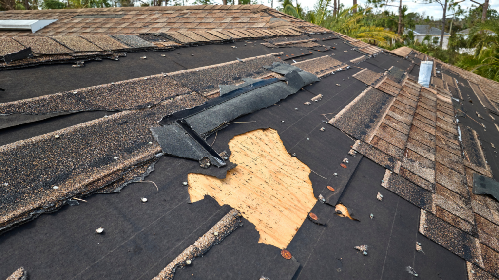 wind damage roof